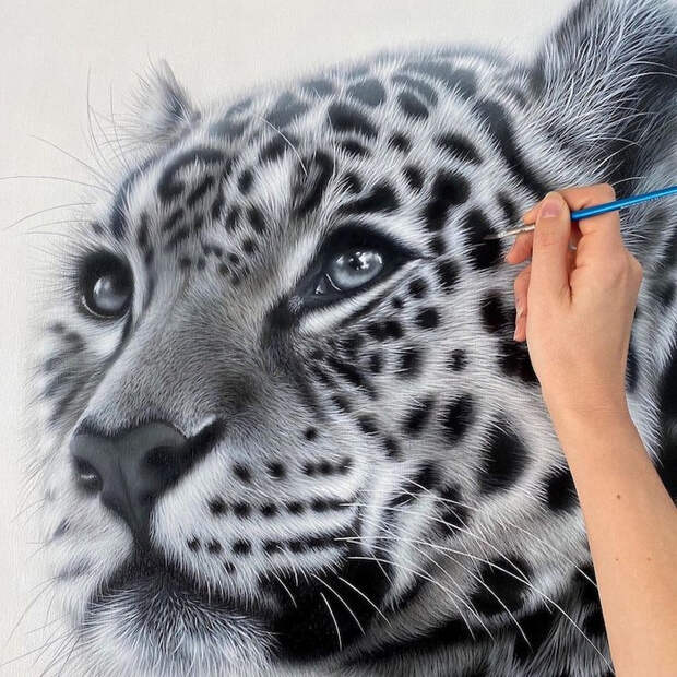 ZRpogkvWtN7RVN17p6jDY2_-OahlKqGDllk__Tf6eWdCfDLR9ke2BPlCvCLCa5CesZizMFklUc9Je0VqmpwMt7HV (700x700, 492Kb)