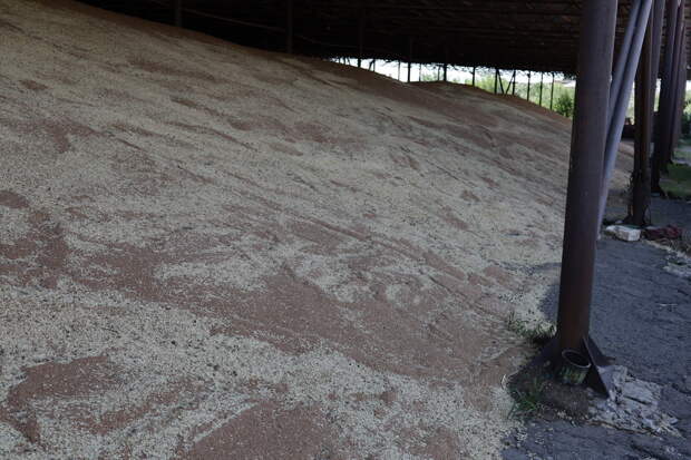 Война на Ближнем Востоке ударила по украинским фермерам