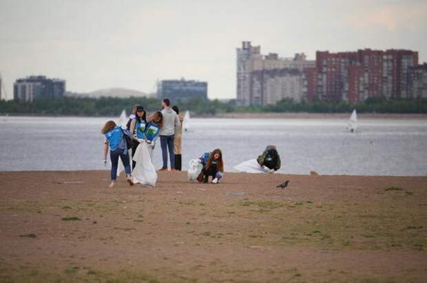 В Ленобласти сообщили о низком интересе к статусу общественного экоинспектора