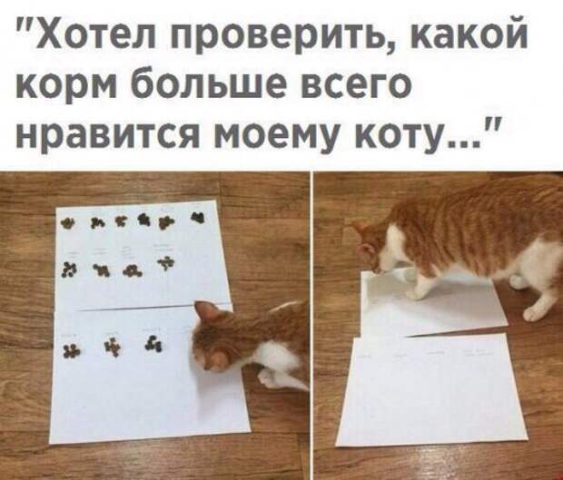 Новые прикольные фотомемы (23 шт)