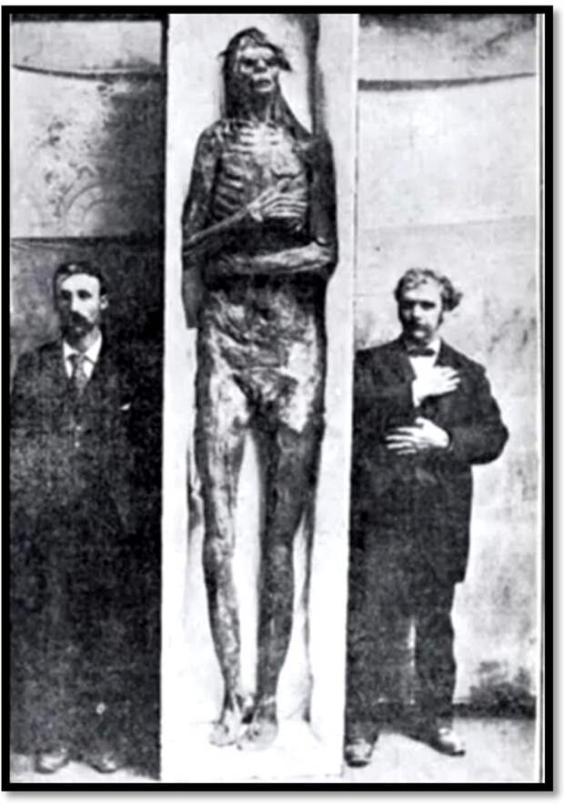 giant-skeleton-unknown (412x588, 79Kb)
