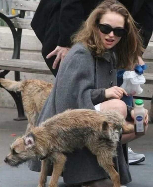 портман