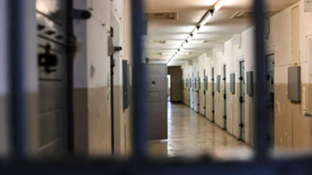 Фото: unsplash.com