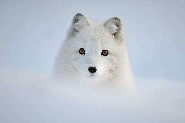 Edwin Kats