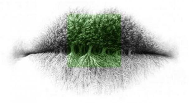 Достаточно внимательно посмотреть на картинку: первое, что увидите, расскажет нечто важное о личной жизни