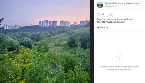 Фото дня: джунгли на берегу Сходни