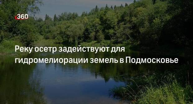 Реку осетр задействуют для гидромелиорации земель в Подмосковье