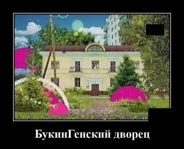 Демотиватор про Букиных