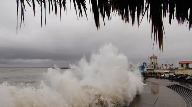 Власти Сочи предупредили об усилении ветра до 15 м/с