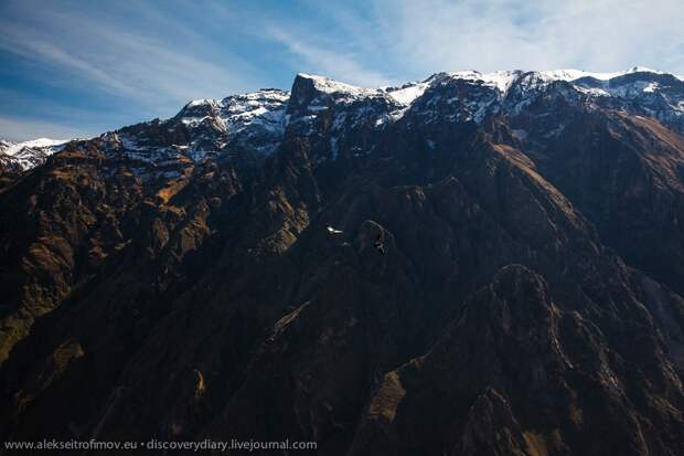 colca09 Спускаемся в глубочайший каньон на Земле