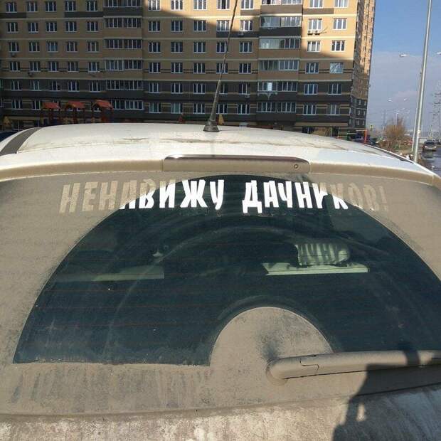 181703_10_trinixy_ru.jpg