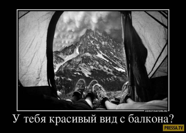 Демотиваторы (43 фото)
