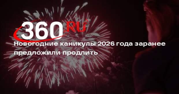 Депутат Нилов предложил установить новогодние каникулы с 31 декабря по 11 января