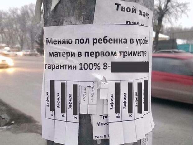 Медики тоже юморят Медики тоже юморят