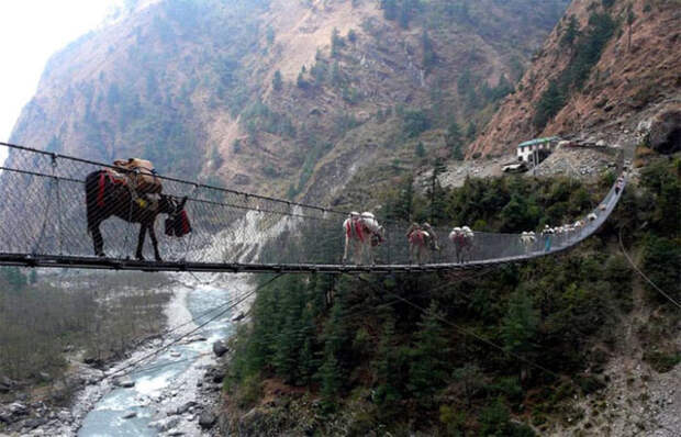 В Непале можно найти много страшных мостов, мост Гхаса не исключение.