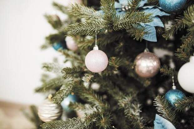 Как правильно избавиться от новогодней елки?