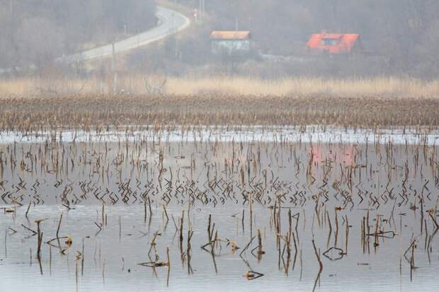 В Тульской области усилили контроль за качеством питьевой воды в предпаводковый период