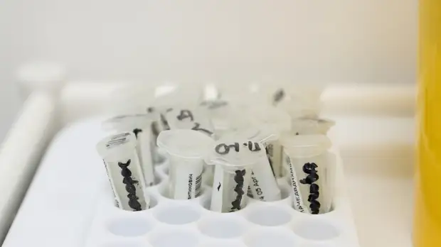 В Кировской области зарегистрировали 168 случаев коронавируса за сутки