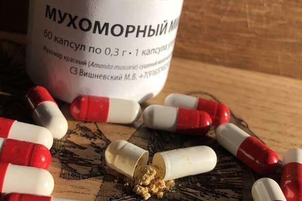 Сушеный красный мухомор: полезно и безопасно!