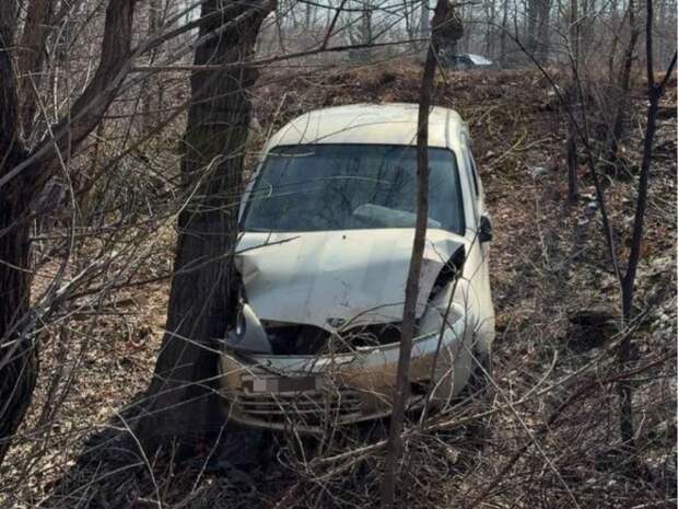 Малолитражка слетела с дороги и врезалась в дерево во Владивостоке