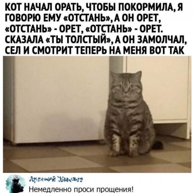 Смешные комментарии к постам в социальных сетях