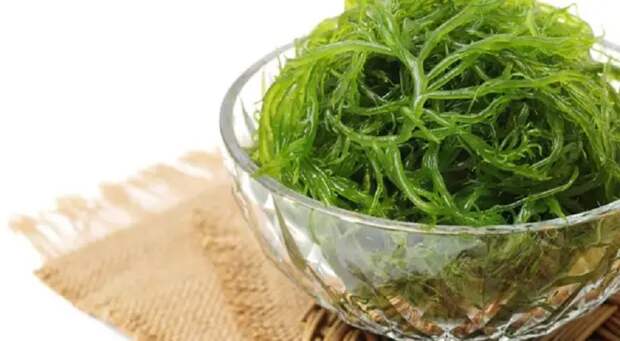 Полезные свойства морской капусты: и интересные рецепты для вашего меню