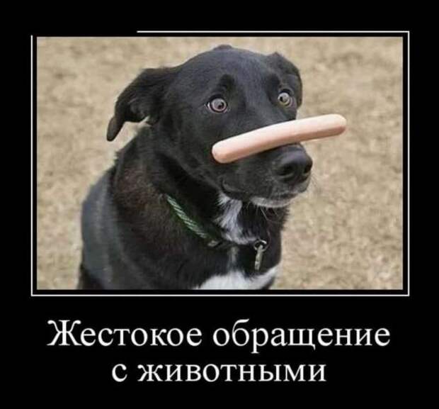 Демотиваторы. Подборка chert-poberi-dem-chert-poberi-dem-24040919052020-3 картинка chert-poberi-dem-24040919052020-3
