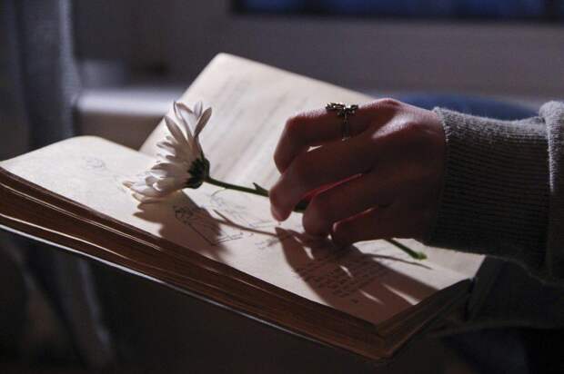 Книга. Фото: pixabay.com