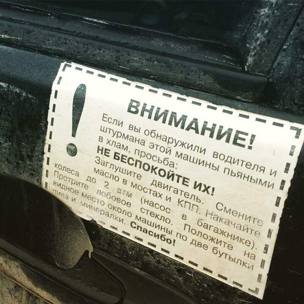 181703_7_trinixy_ru.jpg