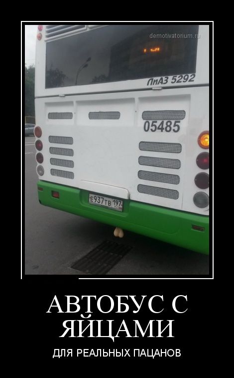 Демотиваторы (30 фото)