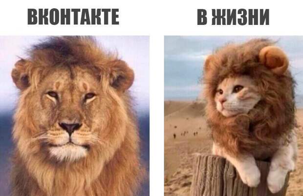 Смешные картинки с надписями приколы, смешные картинки, юмор