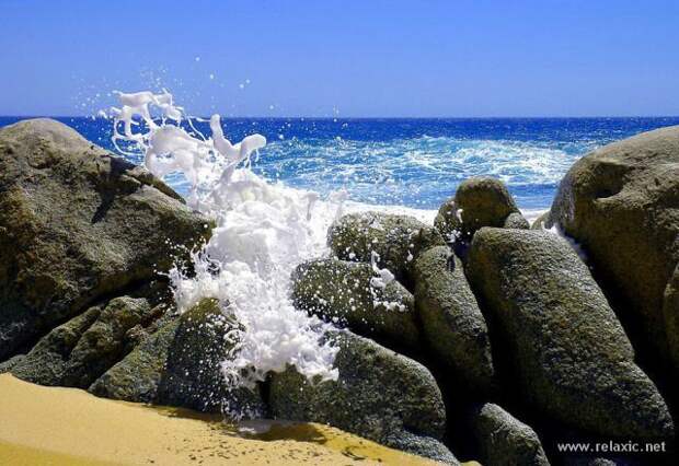 nature_014