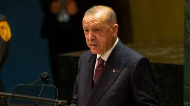“Немножко попугал”: почему Эрдоган передумал выгонять послов десяти стран