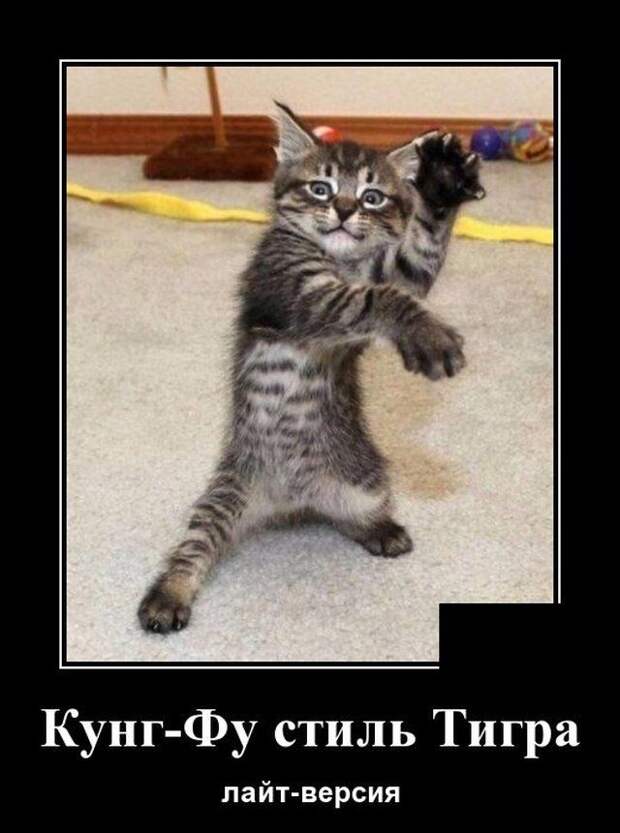 demotivatory-demotivator-smeshnye-demotivatory-demotivator-so-smyslom