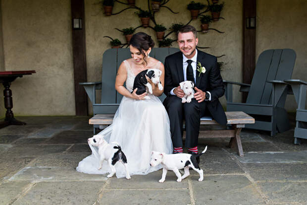 Фото © rebecca-lynnephotography.com