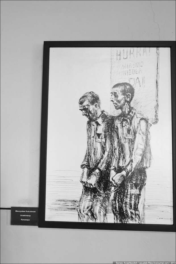 Искусство в Освенциме. концентрационный лагерь, освенцим, рисунок, длиннопост