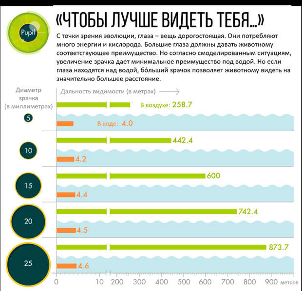 Перевод Funscience / Quanta Magazine