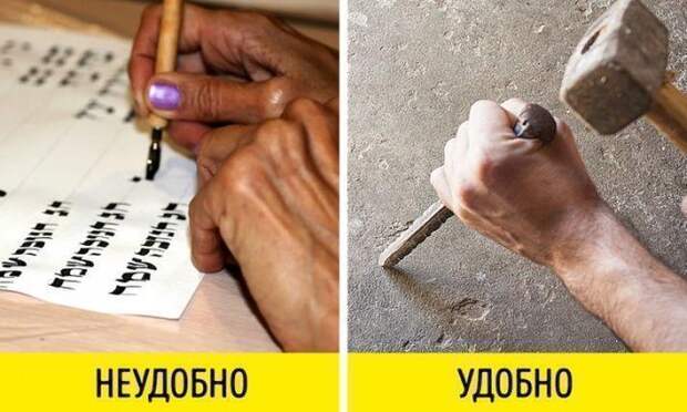 13 ответов на самые интересные "Почему?"