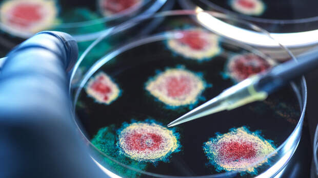 Россиянам рассказали об осложнениях от штамма коронавируса «стратус»