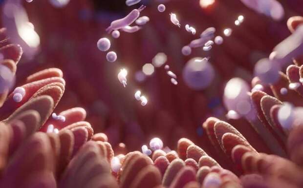 Изменение микробиома кишечника связано с прогрессированием болезни Альцгеймера