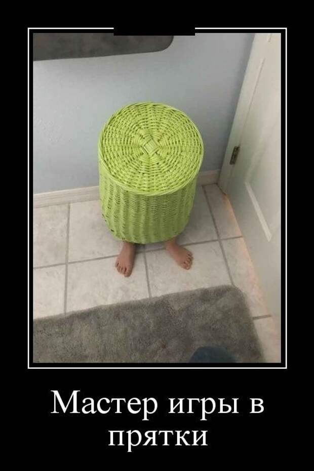 Демотиваторы