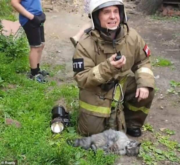 Томские пожарные не пожалели времени и сил на реанимацию кошки!