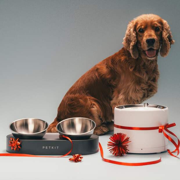Слева направо: миска двойная Fresh Nano Double, Petkit (2990 руб.), поилка умная автоматическая Smart Pet Fountain, Xiaomi (5990 руб.) — все restore