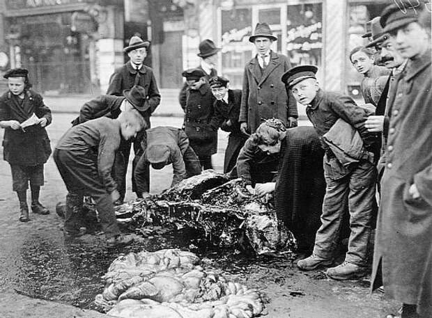 Голодные немцы разделывают мертвую лошадь на мясо. Берлин, 1919 год. 20 век, история, фотографии