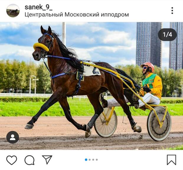Фото дня: будни на ипподроме