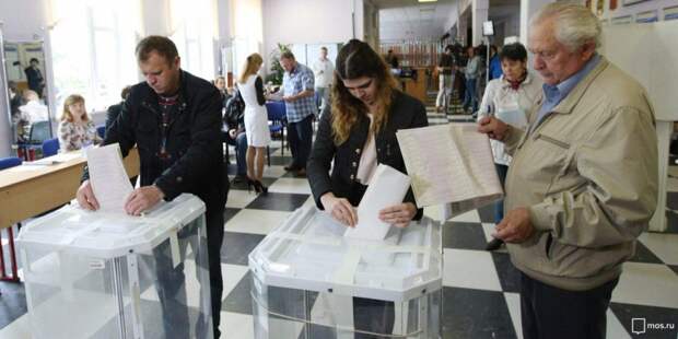 Иностранные наблюдатели отметили открытость выборов мэра Москвы. Фото: mos.ru