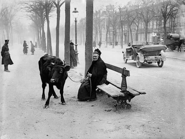 Известные и неизвестные люди из прошлого. Интересные ретро-фотографии интересное, история, фотография