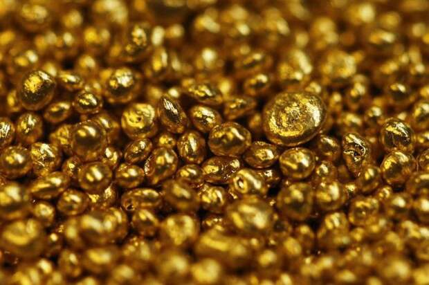 Что такое "золотые шоколадки" (16 фото)