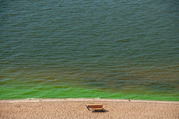 Роспотребнадзор дал оценку побережью Черного моря. Где можно купаться летом?