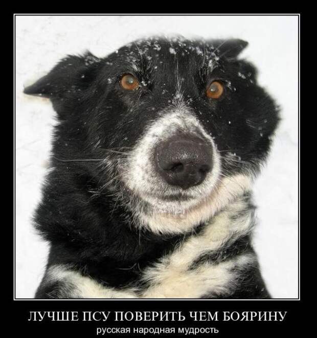 Забавные и веселые демотиваторы для настроения (10 фото) Забавные и веселые демотиваторы для настроения (10 фото)